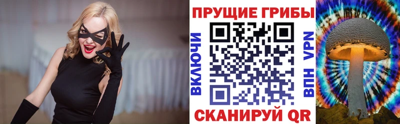 наркошоп  Пушкино  mega ссылки  Галлюциногенные грибы MAGIC MUSHROOMS 